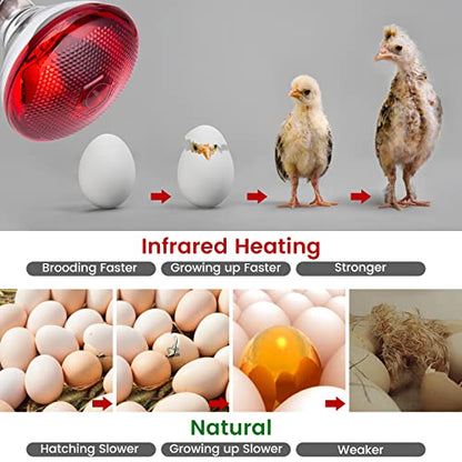 Heat Lamp for Chickens Coop Brooder and Reptile Heat Bulb 150 Watt Infrared Red Light