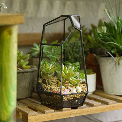 NCYP Small No Door Glass Geometric Terrarium - 4.9 x 3.9 x 7.4 Inches Irregular Clear Terrarium Pot for Mini Succulents, Small Cactus, Indoor Garden Tabletop Decoration (No Plants) - size: 4.9"x3.9"x7.4"