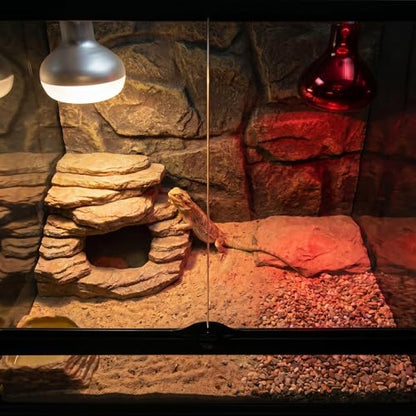 150W Reptile Heat Lamp, 2 Pack Day & Night Basking Lamp Combo, UVA Daylight Heat Bulb & Infrared Red Night Heating Light, Terrarium Heat Lamps for Reptiles, Bearded Dragon, Lizard, Chicken