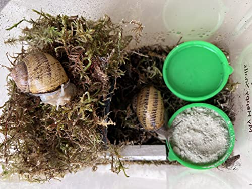 Premium Land Snail Substrate - The Perfect Bedding for Your Pet Snail | Weight 7 Oz or 200 Grams