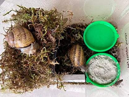 Premium Land Snail Substrate - The Perfect Bedding for Your Pet Snail | Weight 7 Oz or 200 Grams