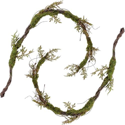 Tigeen 2 Pcs 6.56 Ft Large Bendable Artificial Tree Branches with Fake Moss and Ferns Sturdy Hanging Fake Plants Branches Vine for 3D Gardens Jungle Themed Parties and Wedding Arch Decorations
