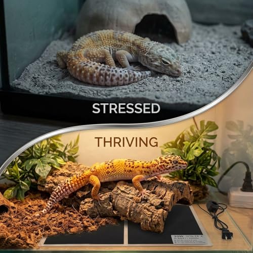 2 Pcs Reptile Heating Mats, 16.5 x 11.0 in, 20 W Adjustable Temperature Pet Heat Pad with Insulated Shell, Gentle Infrared Warmer, 110 to 120 V US Pins for Snakes, Lizards, Turtles, Amphibians