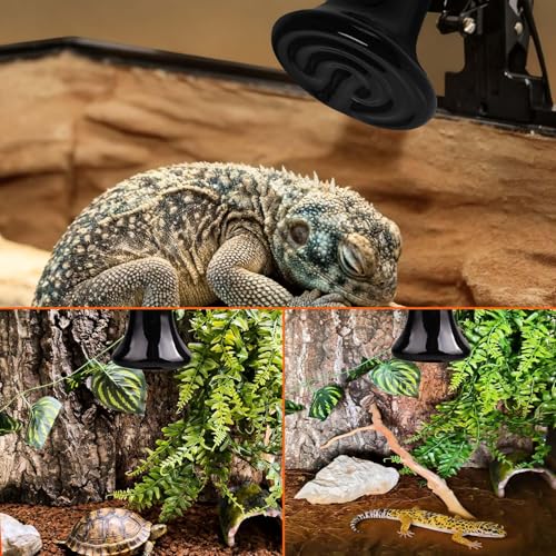 BNOSDM 75W Ceramic Heat Emitter,2 Pack Reptile Heat Lamp Bulbs,Ceramic Heat Lamp,Brooder Coop Heater for Amphibian Reptile Turtle Lizard Chicken - color: Pack of 2/Black, size: 75 Watts