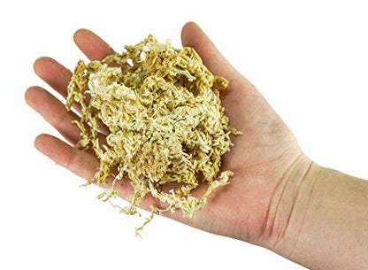 besgrow New Zealand Sphagnum Moss (1 kilogram),tan - size: AAA Premier (6" Strands)