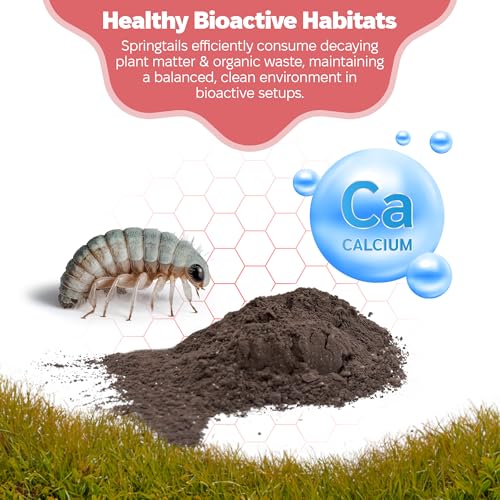 Snout and Shell Springtail Calcium Bearing Clay - 1 lb | Ideal for Culturing Springtails, Reptile and Amphibian Terrariums, and Natural Habitat Cleanup Crew