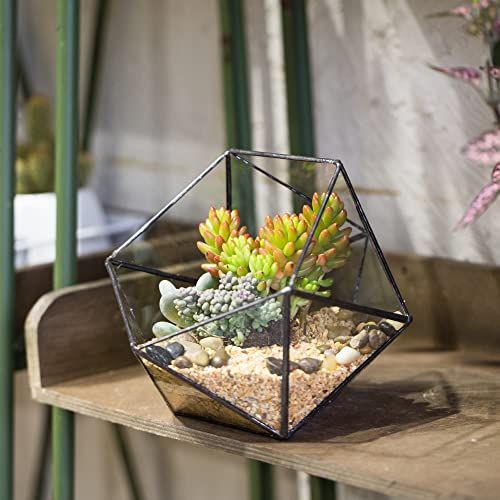 NCYP Opened Geometric Glass Terrarium, 6.69" Bowl Shape Planter for Succulent Plant Cacti, Indoor Balcony Irregular Decor, Garden Miniature Pot, Tabletop Centerpiece (No Plants)