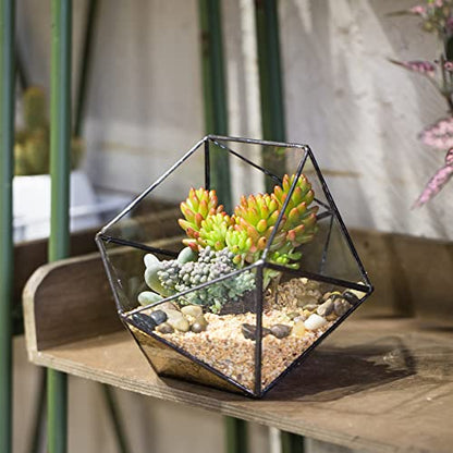 NCYP Opened Geometric Glass Terrarium, 6.69" Bowl Shape Planter for Succulent Plant Cacti, Indoor Balcony Irregular Decor, Garden Miniature Pot, Tabletop Centerpiece (No Plants)