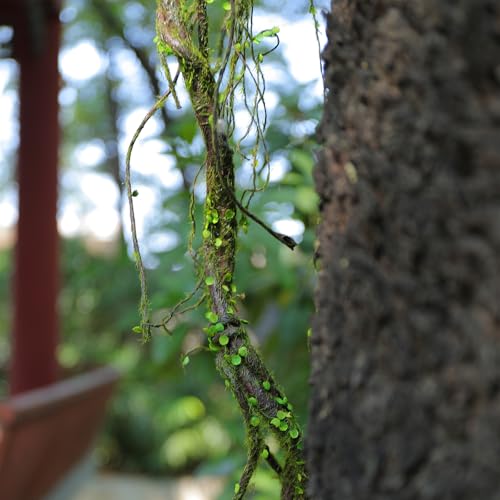2pcs 67"Bendable Twigs Branches Moss Creepy Jungle Climb Green Leaves Vines | Artificial Reptile climbing Tree Trunk Grapevine Garland Plants Stems For Craft Garden Wall Hanging Halloween Arch Decoration