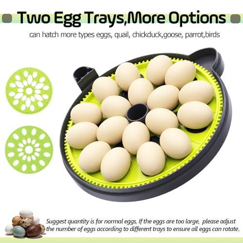 18 Egg Incubator with Automatic Egg Turning Day Counter and Atomizer for Auto Humidity Control, Full Auto Turner Lock 3 Days Before Hatch, Hatching 18Chicken 12Duck 30Quail at Backyard - size: 18 Egg