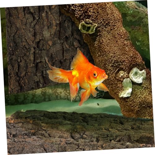 BESPORTBLE 2pcs Cork Bark Reptile Decor for Climbing Tanks Background for Terrarium and Aquarium for Lizards Bearded Dragons