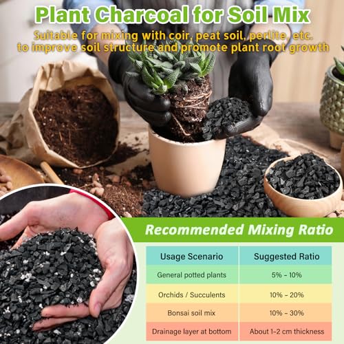 Legigo 8QT All Natural Horticultural Charcoal- Activated Hardwood Plant Charcoal for Soil Amendment, Conditioning Bonsai Soil, Succulent Soil, Terrarium Supplies, Indoor Plant Potting Soil - color: 8 QT