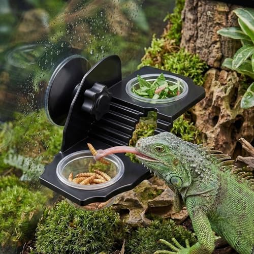 Suction Cup Gecko Feeding Ledge with 3 Bowls, Crested Gecko Food Dish Set, Arboreal Reptile Feeding Ledge for Crested Gecko, Day Gecko and Small Reptiles