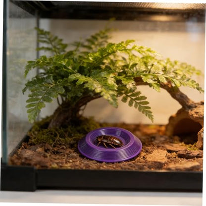 12pcs Reptile Feeding Bowls Lightweight Plastic Feeding Dish for Lizards and Reptiles Escape Proof Design for Home Use and Transporting