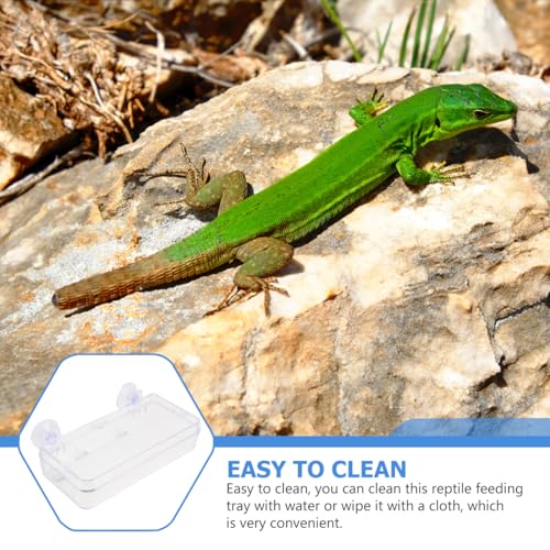 Sosoport Suction Cup Reptile Feeder Acrylic Food and Water Dish with Double Suction for Gecko Lizard Tank Accessories Easy to Clean Reptile Feeding Bowl, 6.10 X 2.95 X 1.37 Inch