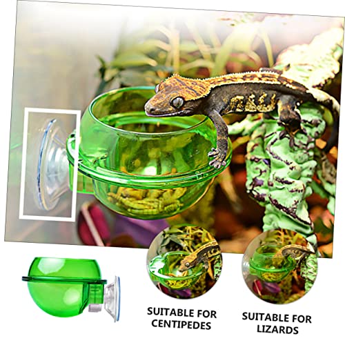 HEMOTON 4Pcs Lizard Feeder Bowl with Suction Cup Escape Design for Reptiles Easy to Stable Pet Dish for Food and Water for Bearded Dragons Geckos Frogs