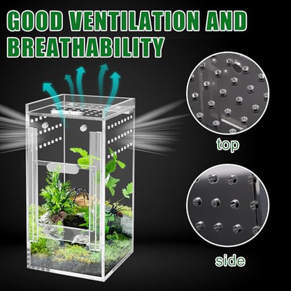 Mini Spider Enclosure, Windspeed 3x3x6’’ Acrylic Terrarium with Ventilation Jumping Spider Enclosure Cage Portable Micro Habitat Terrarium for Tarantula Lizards Gecko with Tongs, Dropper