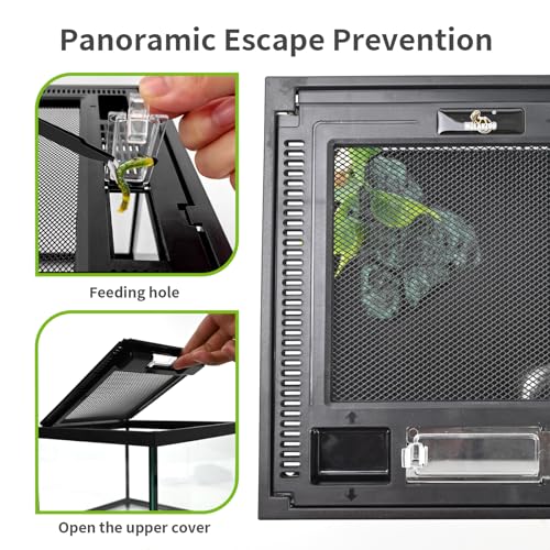 Mini Reptile Glass Tank 8 * 8 * 6inch Terrarium for Start with Top Ventilation for Turtle,Spider,Hermit Crab,Geock,Frog AMD Beard Dragon