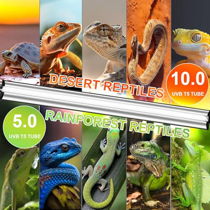 39W T5 10.0 UVB Reptile Light Fixture – 34” Linear UVA/UVB Lamp with High Output for Bearded Dragons, Tortoises & Lizards, Perfect for Desert & Tropical Terrariums - size: 39W-34 Inch-T5 Fixture