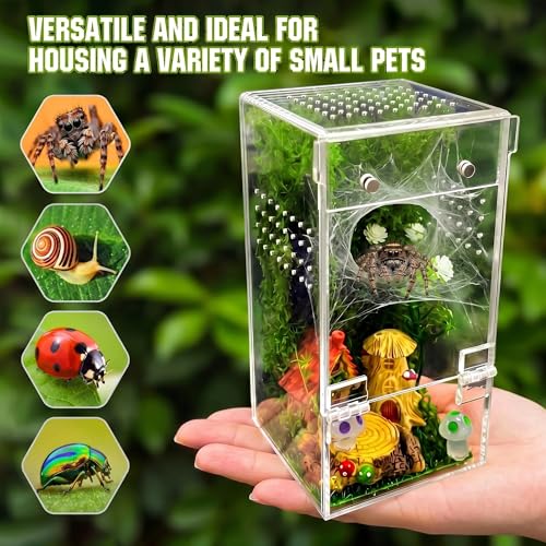 3"x3"x6.2" Jumping Spider Enclosure Kit – Escape-Proof Terrarium for Jumping Spiders, Small Insects – Complete Habitat with Spider Cage, Plants, Moss, and Accessories – Ideal Starter Kit