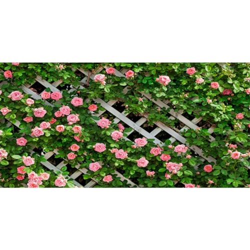 YongFoto Reptile Terrarium Background 36x14 inch Reptile Tank Background Floral Wall Fence Paling Green Leaves Pink Bloom Flower Reptile Habitat Background Bearded Dragon Fish Tank Aquarium Backdrop - color: Green-Pink, size: 36x14in/90x36cm