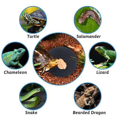 Hamiledyi Reptile Basking Platform Tortoise Feeding Dish Rock Reptile Food Bowl with Feeding Tweezers Landscape Habitat Decor for Crested Gecko Lizard Bearded Dragon Turtle (2 PCS Round)