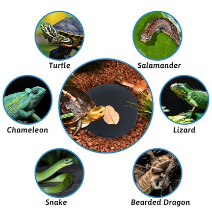 Hamiledyi Reptile Basking Platform Tortoise Feeding Dish Rock Reptile Food Bowl with Feeding Tweezers Landscape Habitat Decor for Crested Gecko Lizard Bearded Dragon Turtle (2 PCS Round)