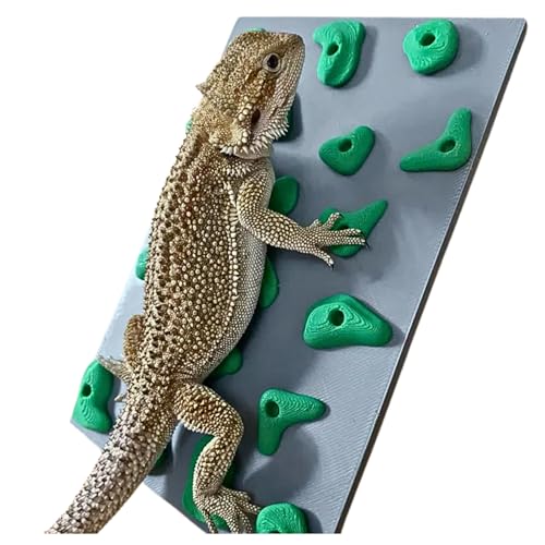 Miniature Reptile Rock Climbing Wall – Enclosure Enrichment for Bearded Dragons, Geckos, and Small Pets – Fun Activity and Habitat Décor - color: Green