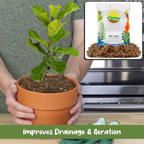 Soil Sunrise 100% Natural Pine Bark Mulch Nuggets (12 Quarts) Small Chips for Indoor/Outdoor Container Gardening, Ideal for Soil Supplement, Houseplant Topper, and Terrariums - size: 12 Quarts
