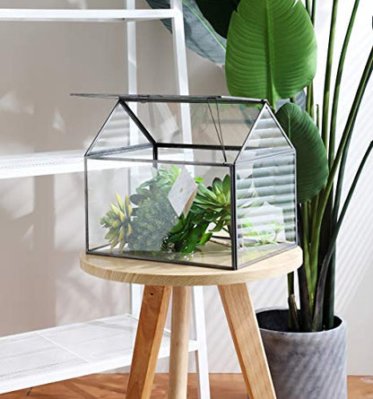 Large Glass Geometric Terrarium Container Tabletop Large Close House Shape Box Planter for Succulent Plant Moss Fern with Swing Lid Black Decor 12 x 9 x 10 inches, No Plants Included