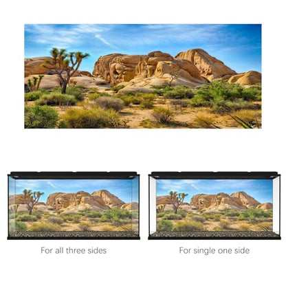 Polyester 5x3ft Joshua Tree National Park Backdrop Arid Barren Cactus Sandstone Rock Climate Mountain and Desert Scenery Backdrop Desert Terrarium Background - size: 5x3ft