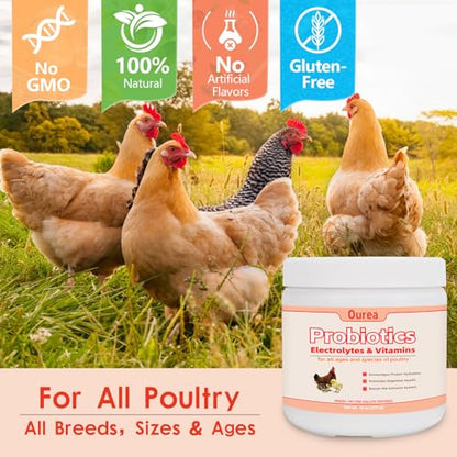 Chicken Electrolyte, Vitamin & Probiotic Supplement - Support Hydration Digestion Immunity Egg Production – Poultry Supplement for Chickens, Ducks, and All Ages of Birds – All-Season Use,10oz Powder