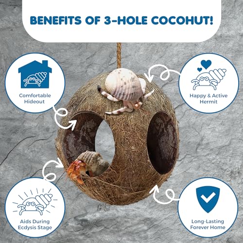SunGrow Hermit Crab Hut Cozy Crabitat Coconut Shell with Hanging Loop and Climbing Accessory