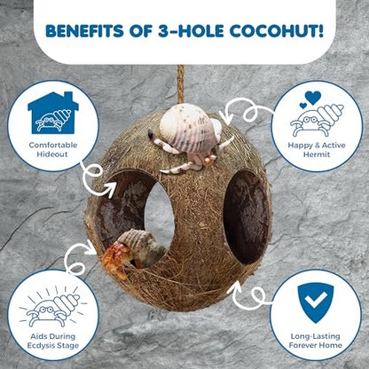 SunGrow Hermit Crab Hut Cozy Crabitat Coconut Shell with Hanging Loop and Climbing Accessory