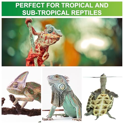 UVB Reptile Light Bulb 5.0, 5W LED High Intensity UV Replacement Lamp Bulbs for Tropical Reptiles Bearded Dragon Hermit Crab Turtle Leopard Gecko Tank Chameleons Iguanas Snake - 1 Pack - size: UVB5.0