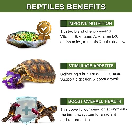Gargeer Forest Tortoise Salad Topper: Supercharge Healthy Diet Supplement - Essential Nutrition Care for Strength & Robust Immune System in Juveniles & Adults. 16oz. Made in the USA. - size: 1 Pound (Pack of 1)
