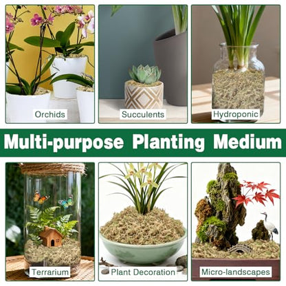 ZeeDix 12L Premium Sphagnum Moss for Plants Indoor, New Zealand Sphagnum Moss for Orchid Potting Mix Terrarium Succulent Carnivorous Ferns Hosta Garden & Reptile Habitat - size: 12L