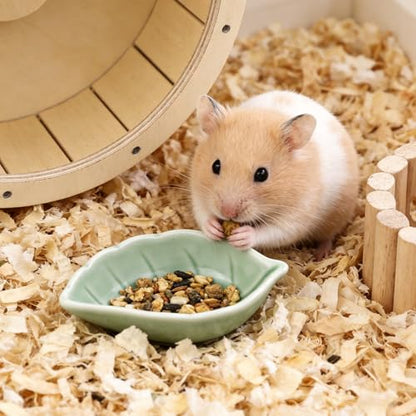 Small Ceramic Bowls, Leaf-Shaped Hamster Food and Water Bowl for Hamsters Guinea Pigs Reptile Hermit Crab and Birds, Easy to Clean & Anti-Bite (Green) - color: Green