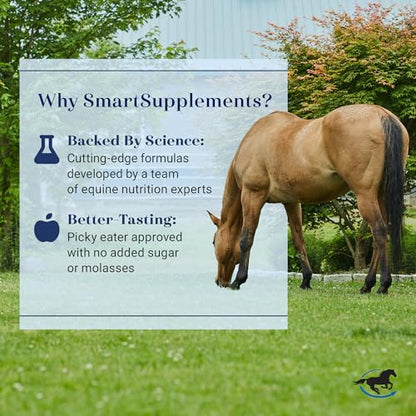 SmartEquine SmartLytes, 3.7 lb, 56 Servings | Horse Electrolyte Powder Supplement | Encourages Hydration, Replenishes Electrolytes | No Added Sugar | Cherry Flavor