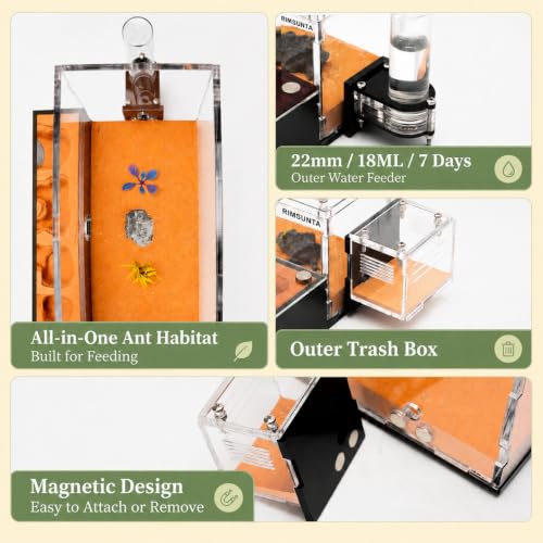 Terra Core M Ant Nest with Starter Kit 9 x 8 x 4.33 in - size: Terra Core Series-M