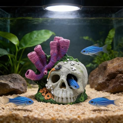 Skull Aquarium Hideout with Coral – Betta Fish Tank Decorations, Shrimp Cave & Small Fish Hideaway, Resin Underwater Skull Decor for Freshwater Aquarium