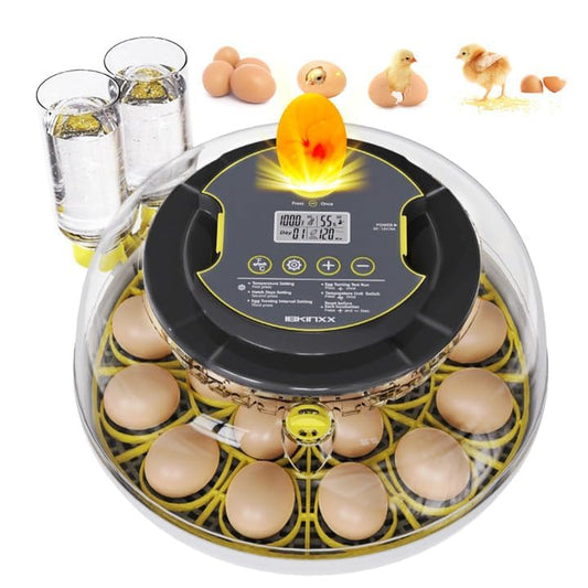 IBKINXX Incubator for Hatching Eggs-18 Egg Capacity, Newly Upgraded Automatic Egg Turner, Temperature & Humidity Control, 360° Viewing for Chicken, Duck and Quail Eggs (Black) - color: Black, size: 18 Egg