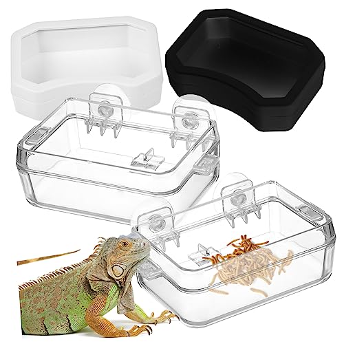BESPORTBLE 2pcs Reptile Feeder Cup Water Dish Escape Feeding Bowl for Lizard Bearded Dragon Gecko Small Food-Grade Material Strong Suction Cup for Secure Placement