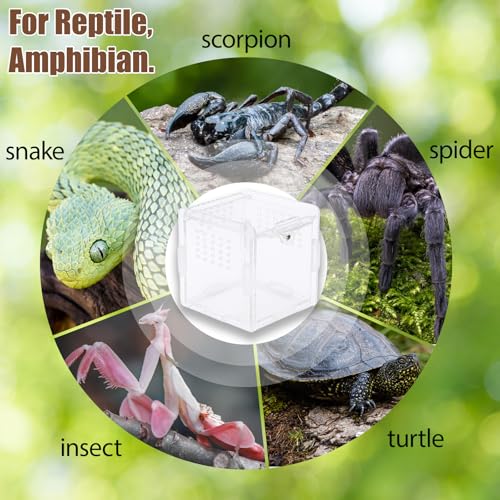 3PC Reptile Hammock, Bearded Dragon Hammock, Climbing Set with Wooden Ladder, Ideal for Reptile Habitat Enrichment, Includes Triangle and Square Pads for Lizards, Geckos, Tortoises
