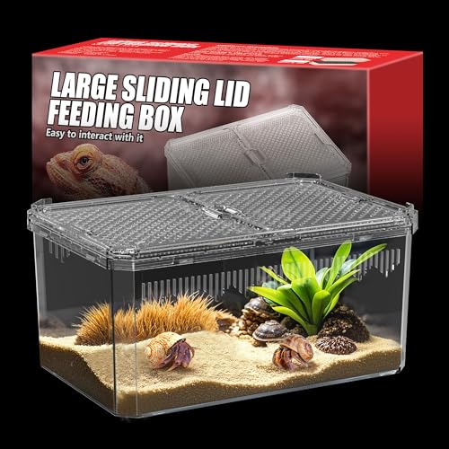 【No Assembly】 Breathable and Secure Reptile Tank with high Transparency - Ideal Container House for Hermit Crab, Tarantula Enclosure, Turtle Tank or Jumping Spider Habitat (L)