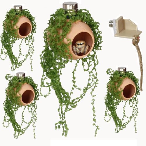 4Pcs Jumping Spider Enclosure Accessories Cocoon-Shaped Jumping Spider Hideaway with Artificial Moss and 1 Pcs Resting Platform Magnetic Small Animal Shelter Toy (Natural Wood Color) - color: Natural Wood Color