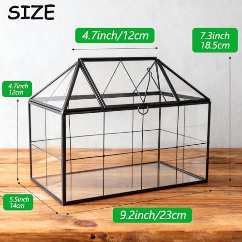 HighFree Geometric Terrarium Planter with Swing Lid, House Shape Black Handmade Glass Box, Vintage Tabletop Miniature Terrarium, for Succulent, Cacti, Air Plants (Not Watertight - 9.2x5.5x7.3 inch)