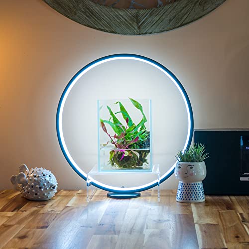 Circle Full Spectrum Plant Grow Light w/Display Stand, for Terrarium, Nano Fish Aquarium, Bonsai, Potted Plants. Gift for Mother's Day, Gift for Plant Lover (11.8 in/30cm Diameter)