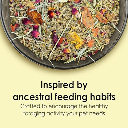Kaytee Food from The Wild Natural Pet Rabbit Food,4 Pound,(Pack of 2) - size: 4 Pound (Pack of 2)