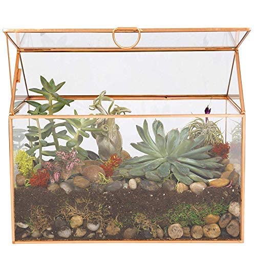 D'Eco Glass House Centerpiece (10x6x8)- Tabletop Planter Terrarium- Spring Home Decor & Wedding Letterbox - Fill with Succulents, Cacti, Air Plants, Moss, Flowers for Plant Lovers - color: Gold